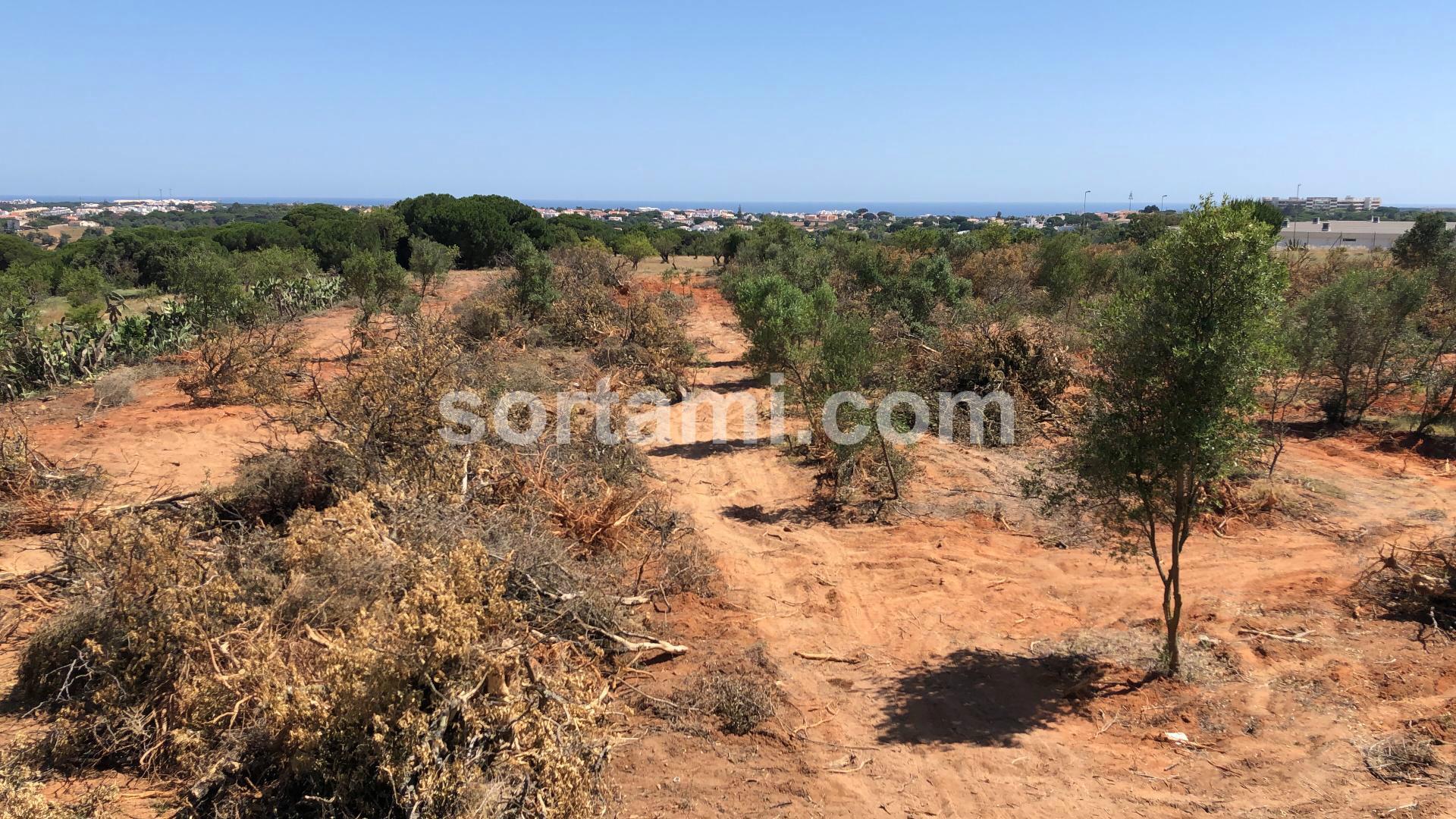 Terreno Para Construção  Venda em Albufeira e Olhos de Água,Albufeira