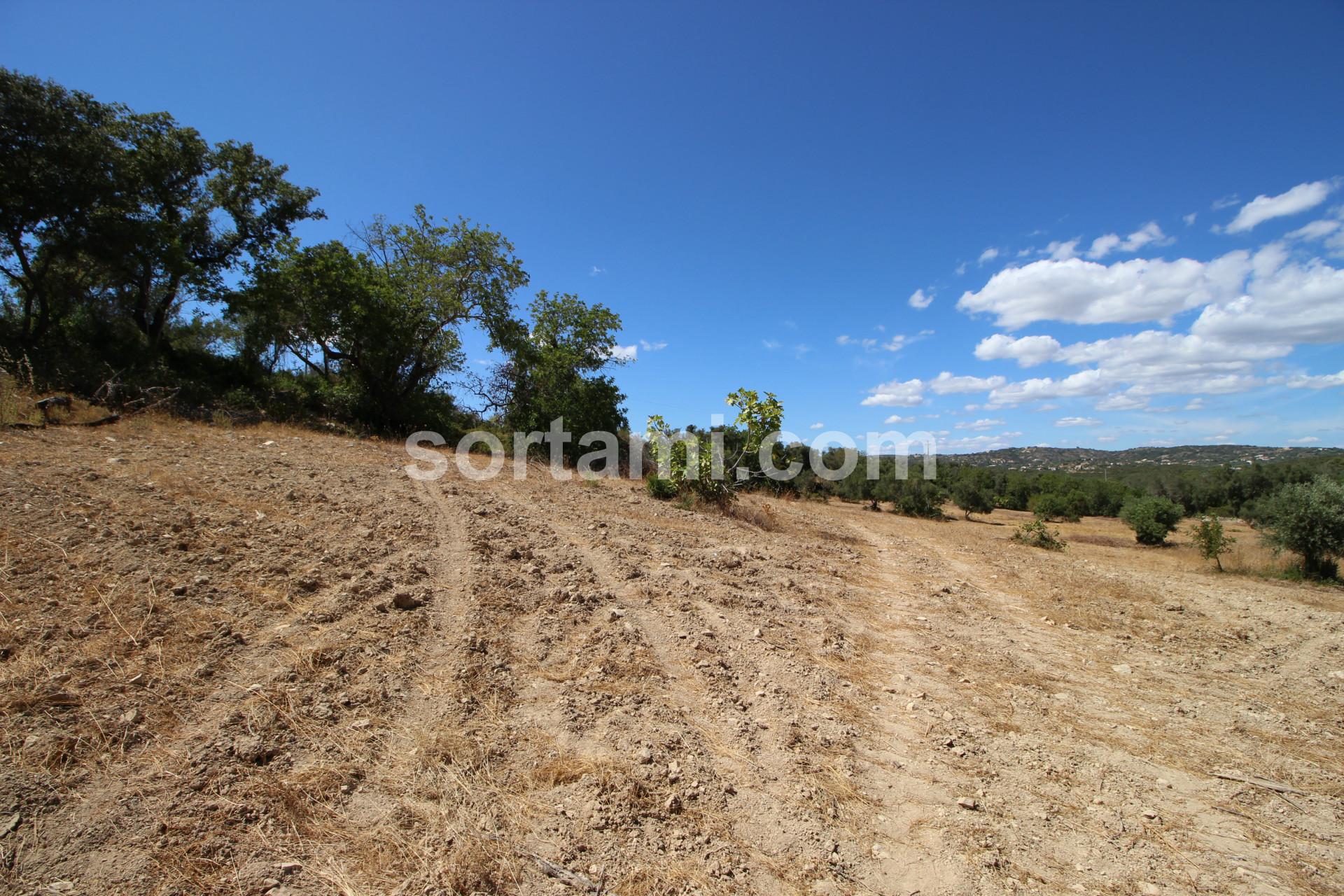 Terreno Rústico  Venda em Santa Bárbara de Nexe,Faro