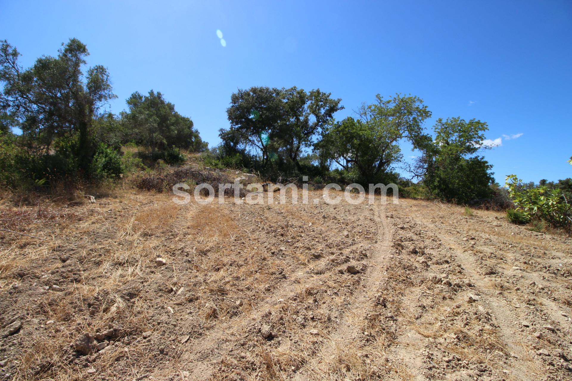 Terreno Rústico  Venda em Santa Bárbara de Nexe,Faro