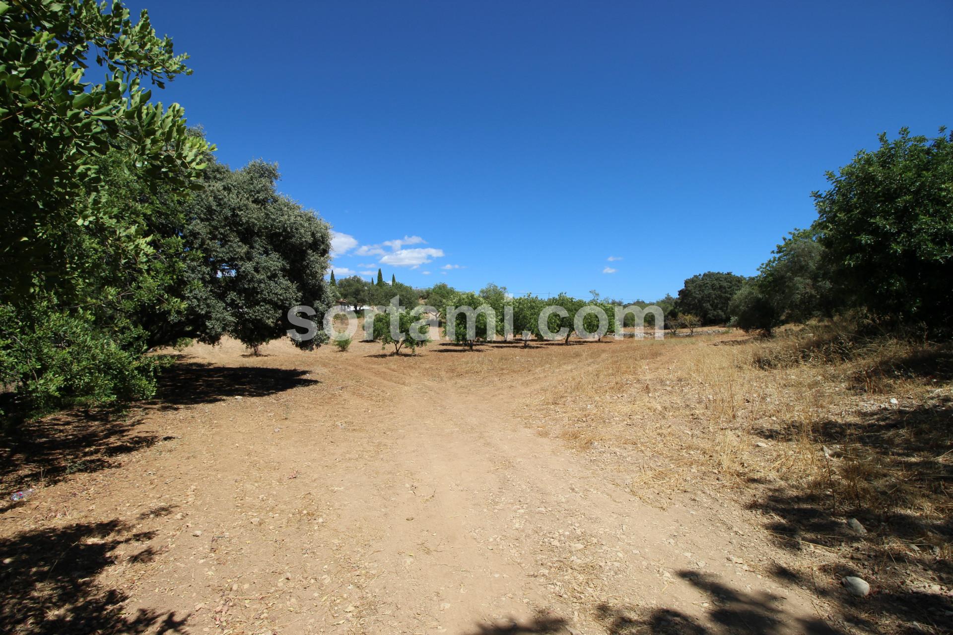 Terreno Rústico  Venda em Santa Bárbara de Nexe,Faro