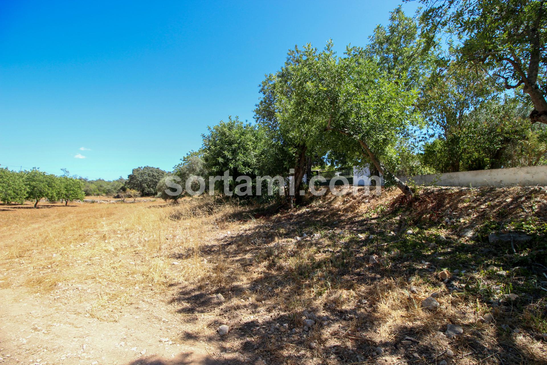 Terreno Rústico  Venda em Santa Bárbara de Nexe,Faro