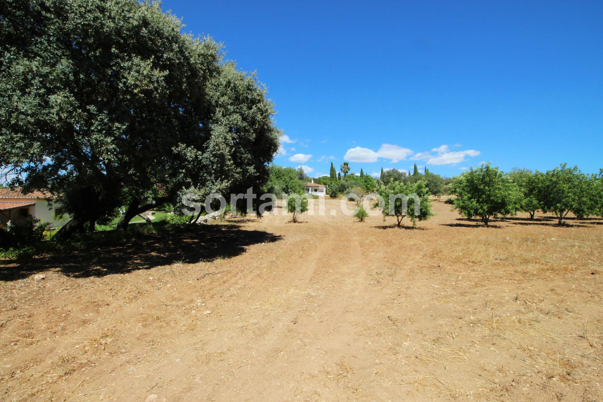 Terreno Rústico  Venda em Santa Bárbara de Nexe,Faro