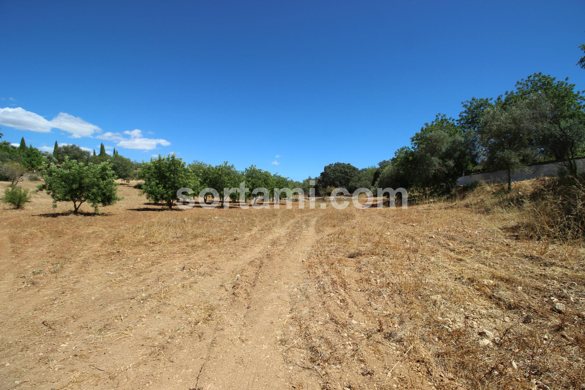 Terreno Rústico  Venda em Santa Bárbara de Nexe,Faro