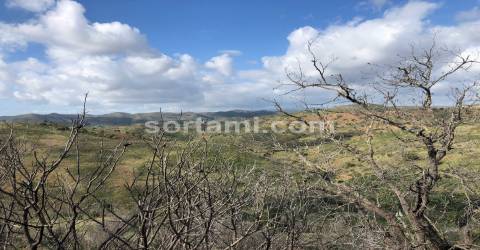 Herdade  Venda em São Bartolomeu de Messines,Silves