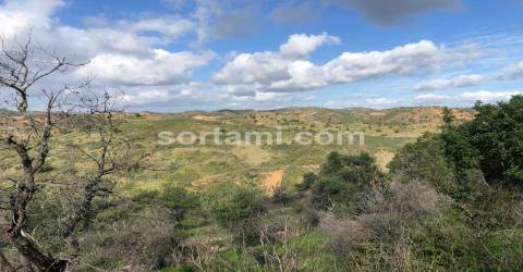 Herdade  Venda em São Bartolomeu de Messines,Silves