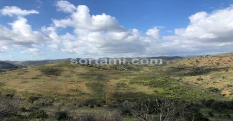 Herdade  Venda em São Bartolomeu de Messines,Silves