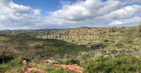 Herdade  Venda em São Bartolomeu de Messines,Silves