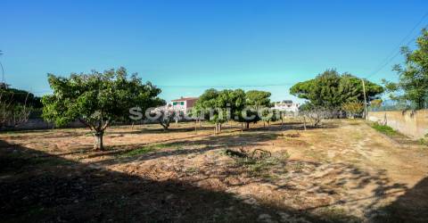 Moradia Isolada T5+2 Venda em Quarteira,Loulé