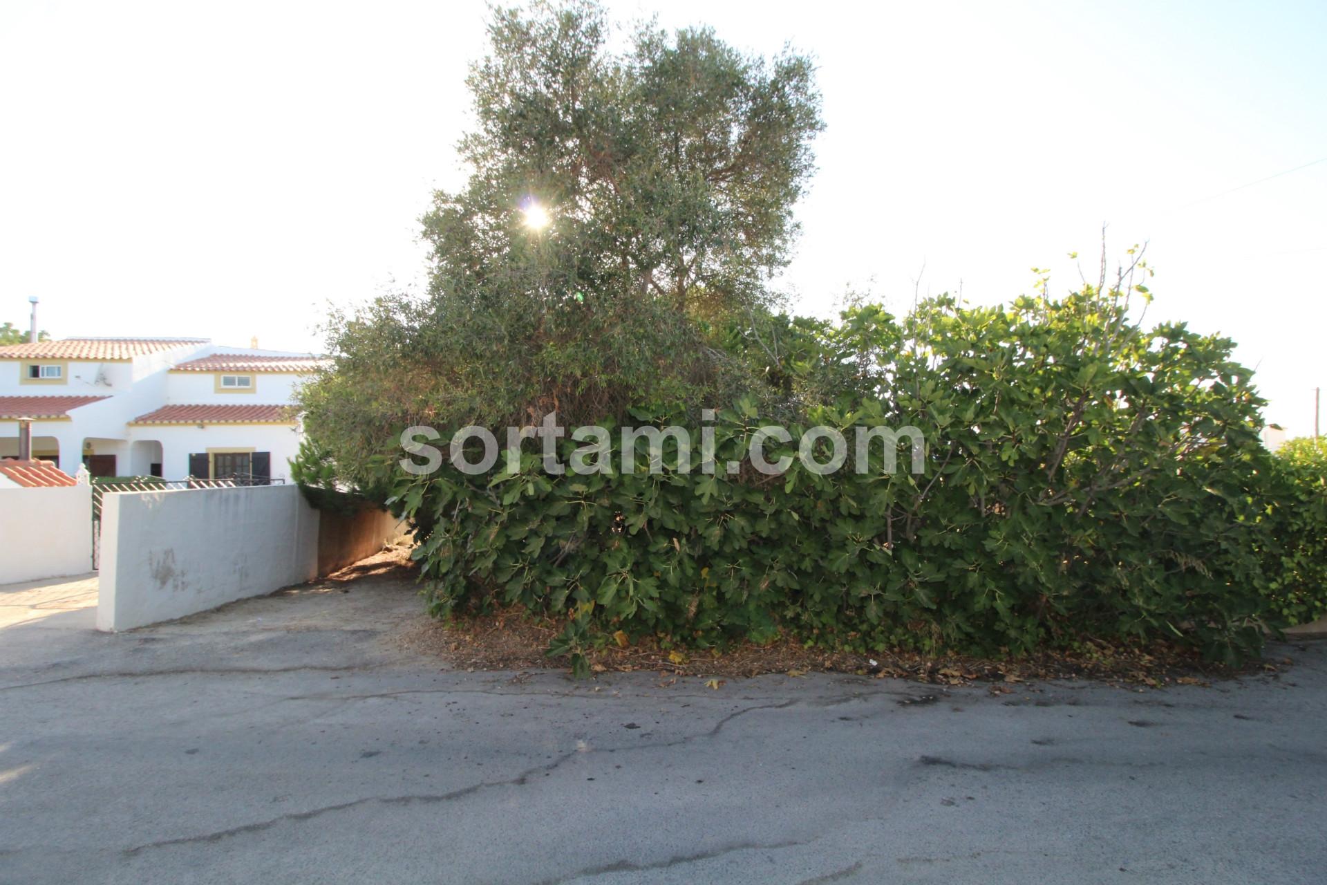 Terreno Rústico  Venda em Albufeira e Olhos de Água,Albufeira