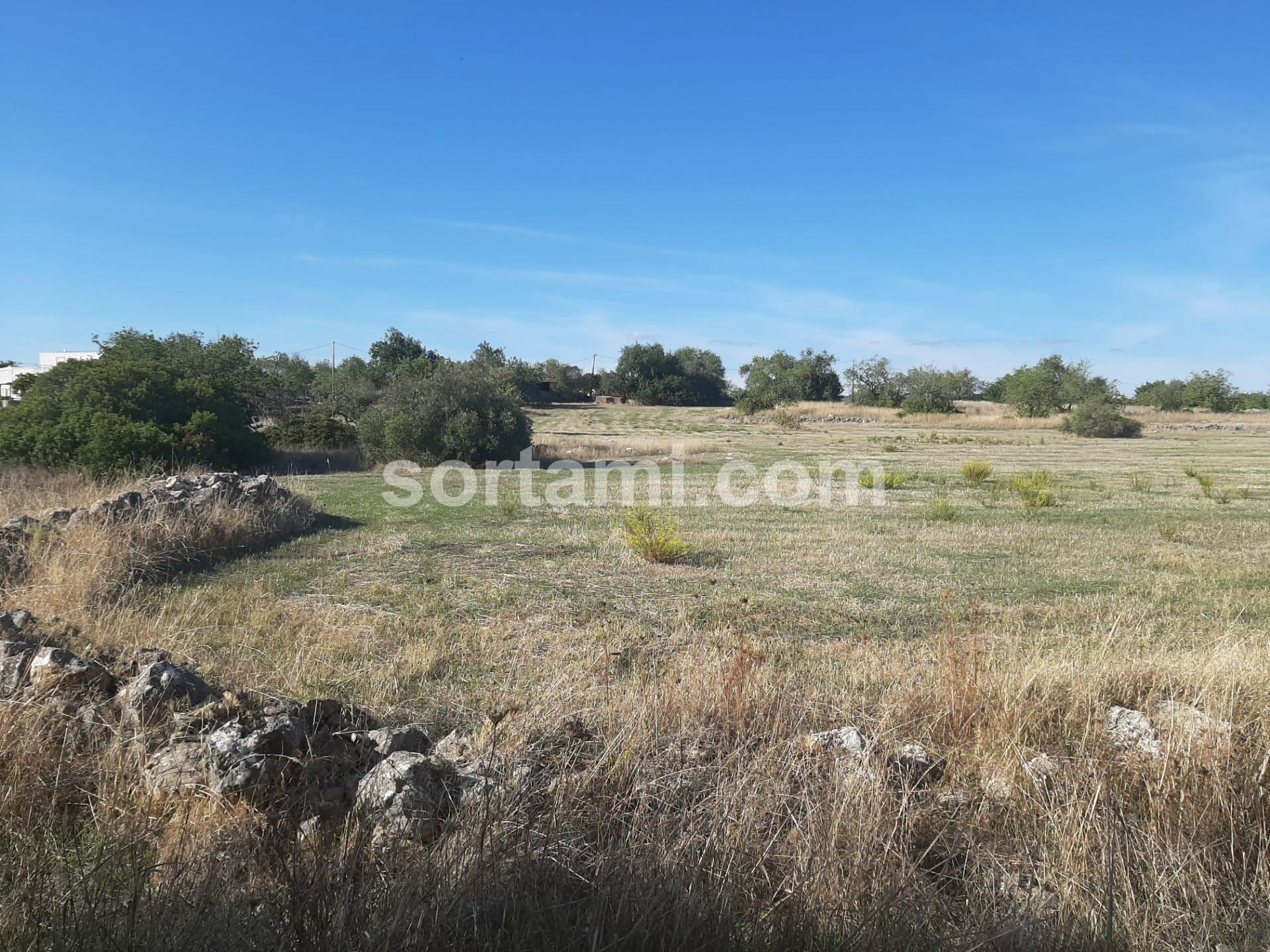 Terreno Para Construção  Venda em Moncarapacho e Fuseta,Olhão