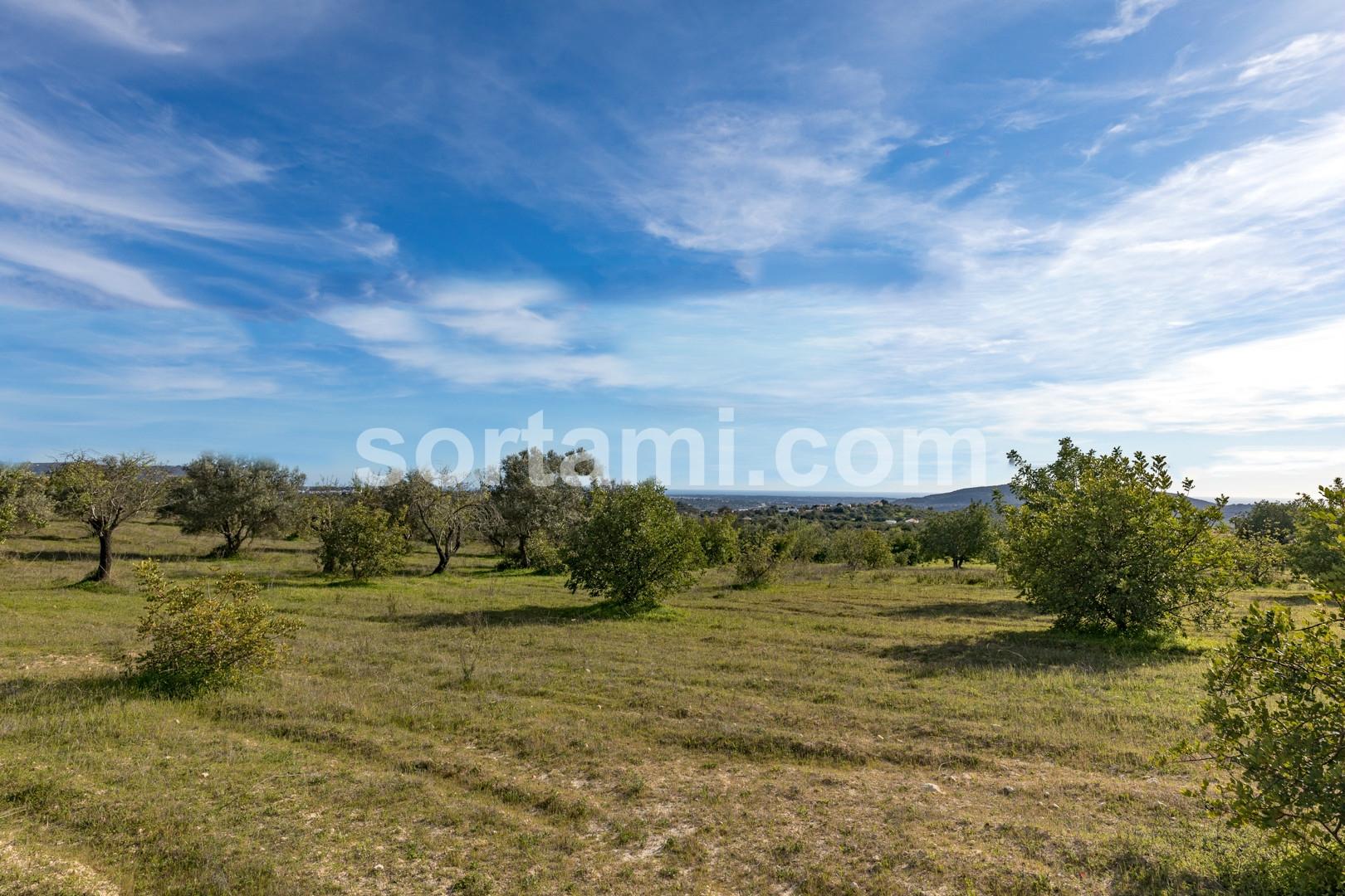 Terreno Para Construção  Venda em Loulé (São Sebastião),Loulé