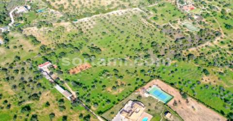 Terreno Para Construção  Venda em Loulé (São Sebastião),Loulé