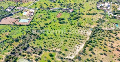 Terreno Para Construção  Venda em Loulé (São Sebastião),Loulé