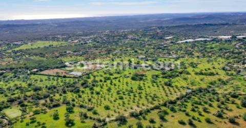 Terreno Para Construção  Venda em Loulé (São Sebastião),Loulé