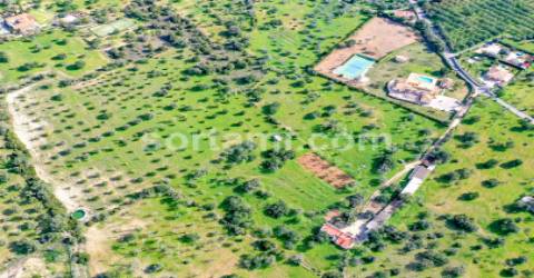 Terreno Para Construção  Venda em Loulé (São Sebastião),Loulé