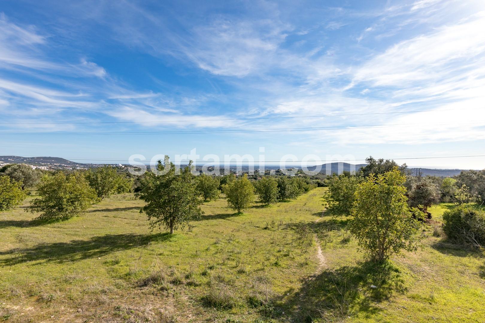 Terreno Para Construção  Venda em Loulé (São Sebastião),Loulé