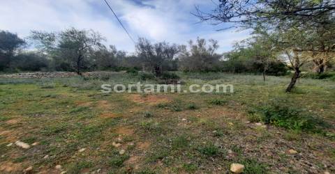 Terreno Rústico  Venda em Almancil,Loulé