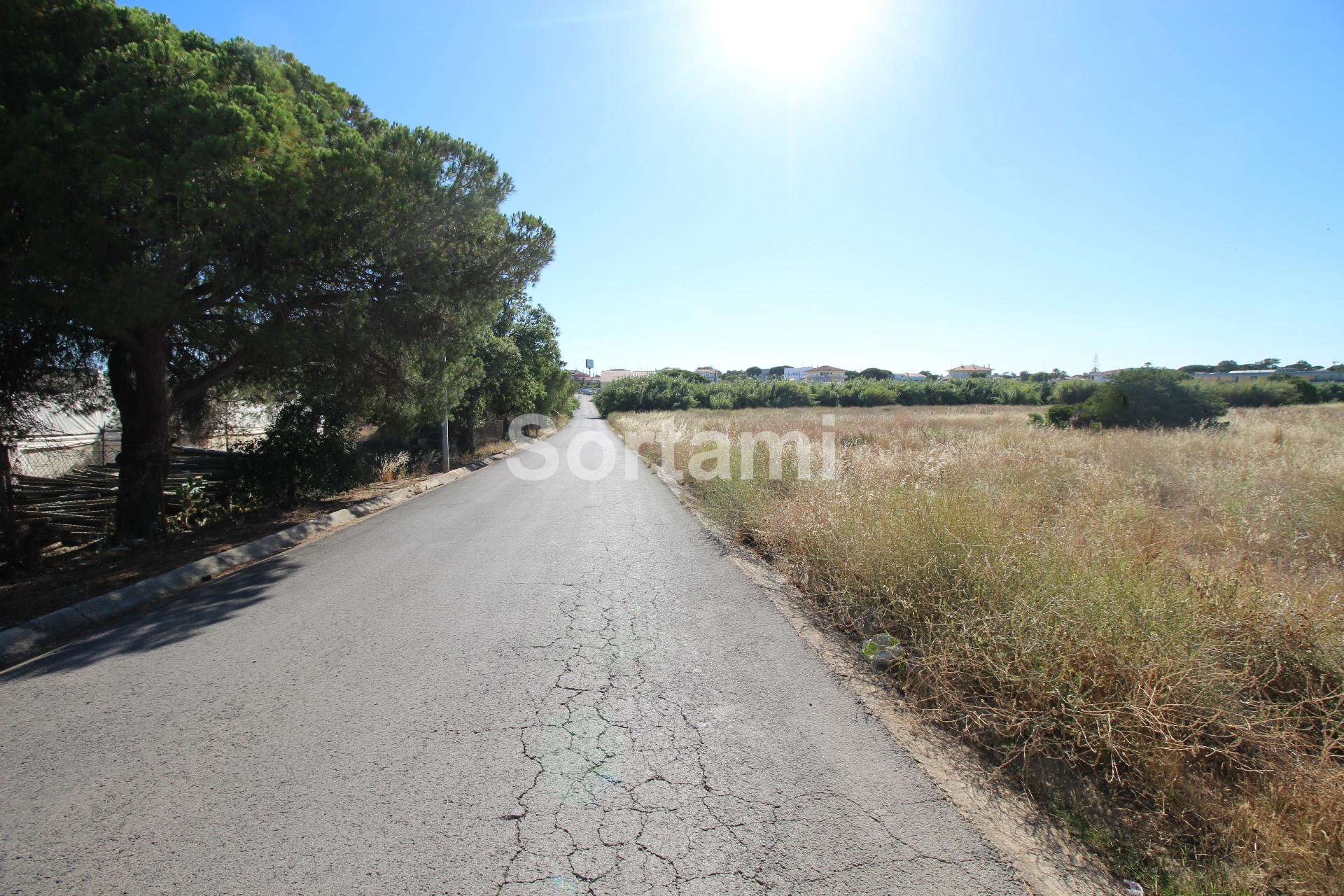 Terreno Para Construção  Venda em Montenegro,Faro