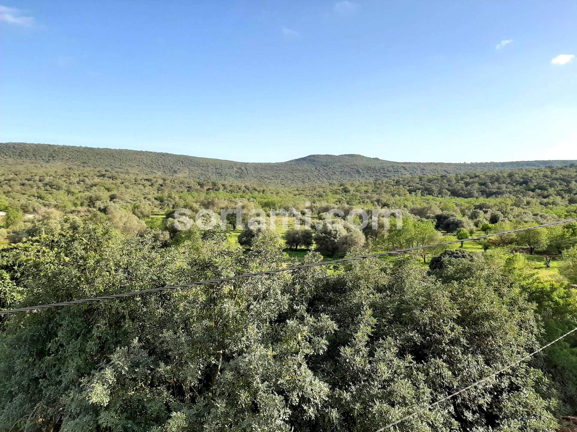 Moradia Devoluta T5 Venda em Salir,Loulé