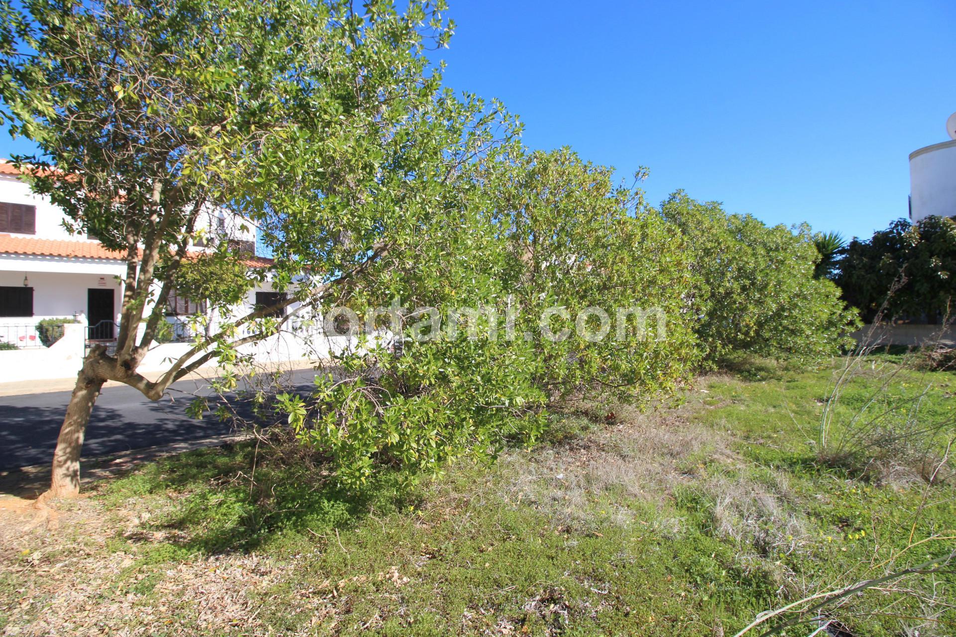 Lote de Terreno  Venda em Faro (Sé e São Pedro),Faro