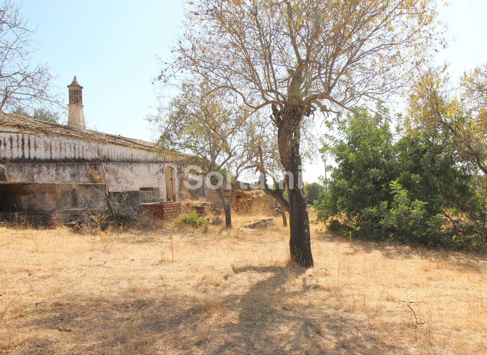 Terreno Para Construção  Venda em Boliqueime,Loulé