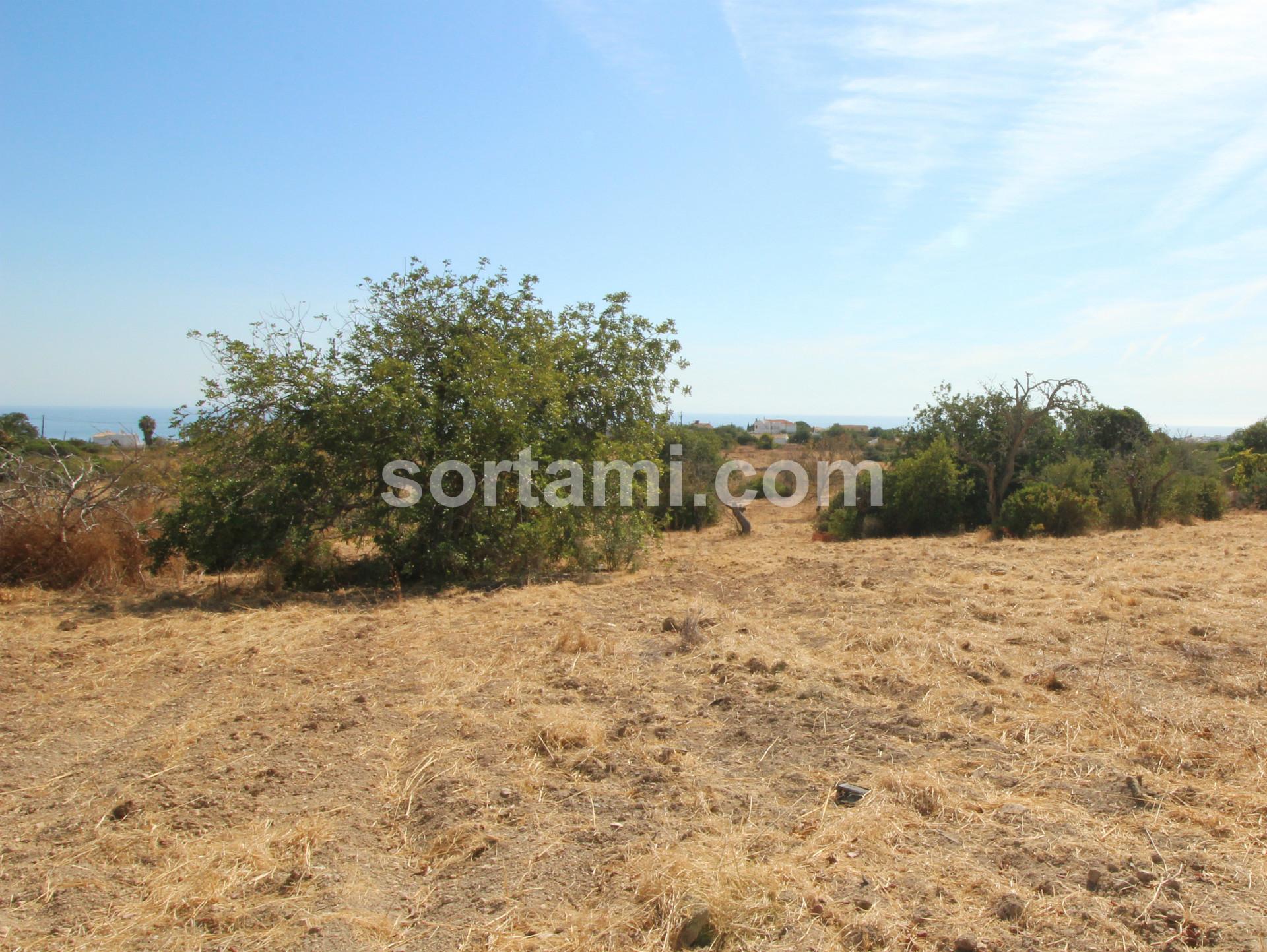 Terreno Para Construção  Venda em Albufeira e Olhos de Água,Albufeira