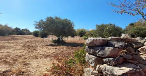 Terreno Rústico  Venda em Loulé (São Clemente),Loulé