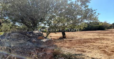 Terreno Rústico  Venda em Loulé (São Clemente),Loulé