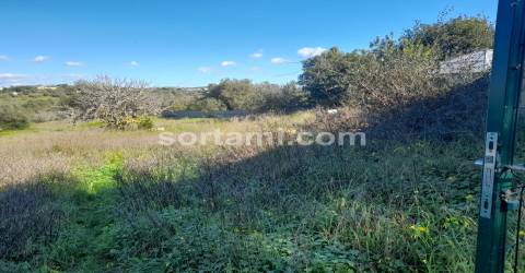Terreno Rústico  Venda em Boliqueime,Loulé