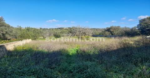Terreno Rústico  Venda em Boliqueime,Loulé