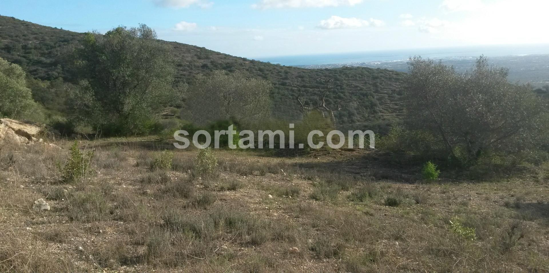 Terreno Para Construção  Venda em Conceição e Estoi,Faro