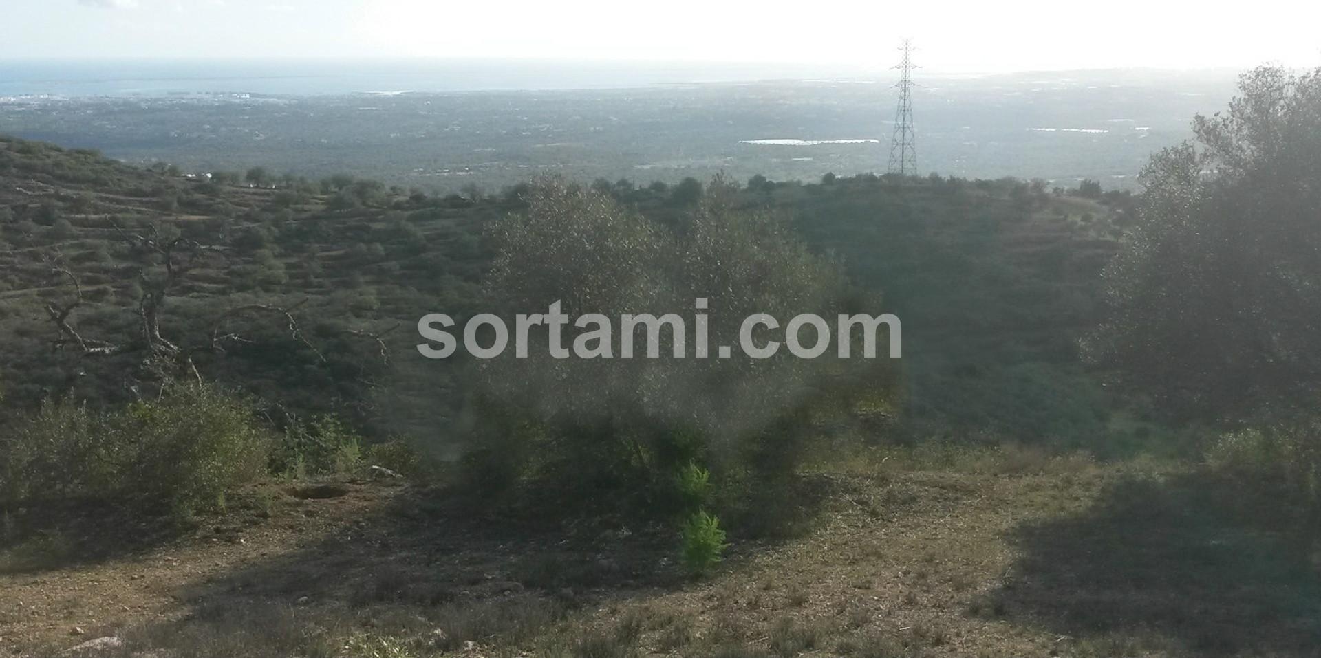 Terreno Para Construção  Venda em Conceição e Estoi,Faro