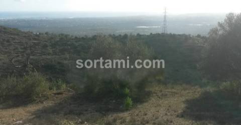 Terreno Para Construção  Venda em Conceição e Estoi,Faro