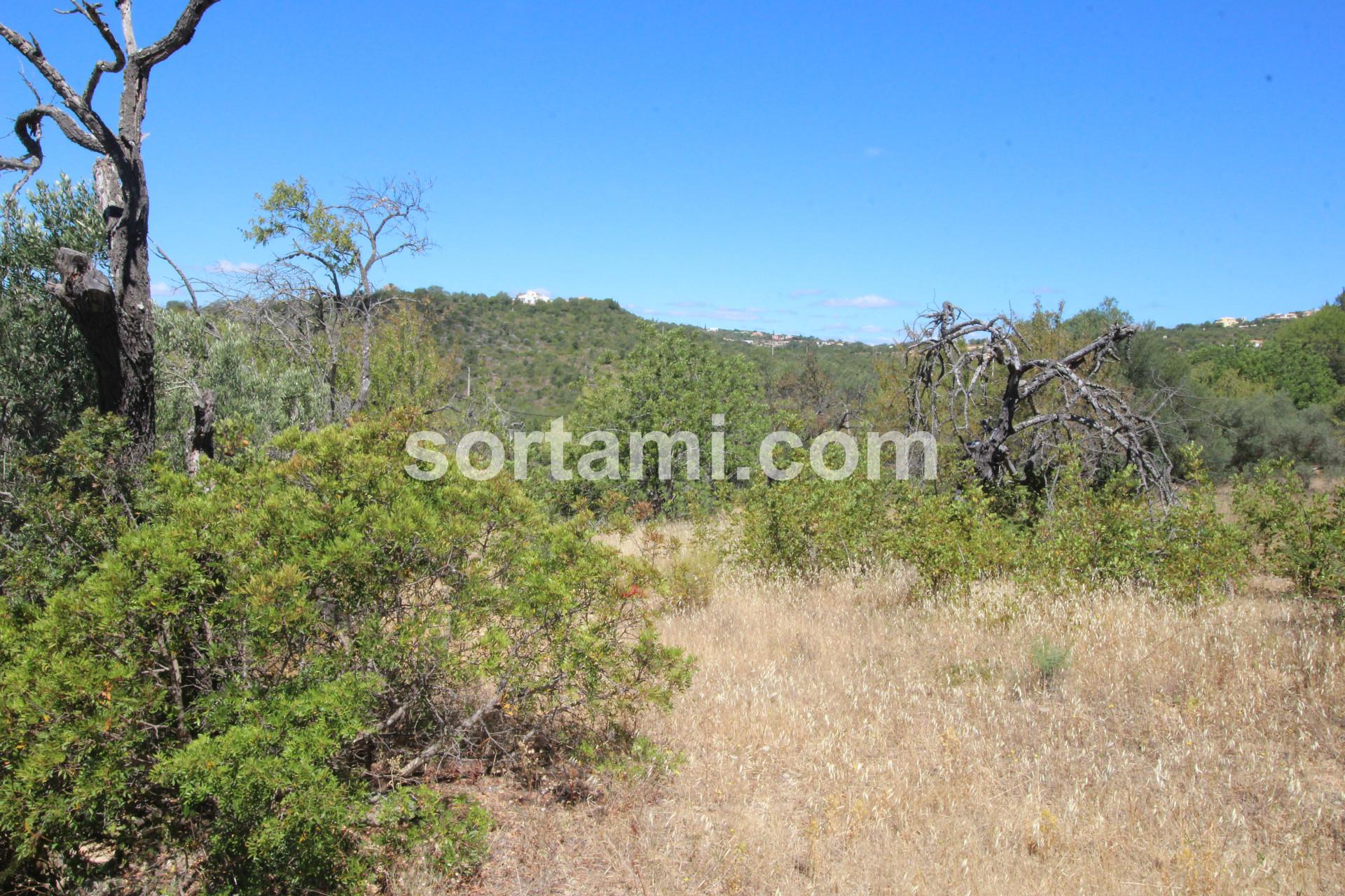 Terreno Para Construção  Venda em Boliqueime,Loulé