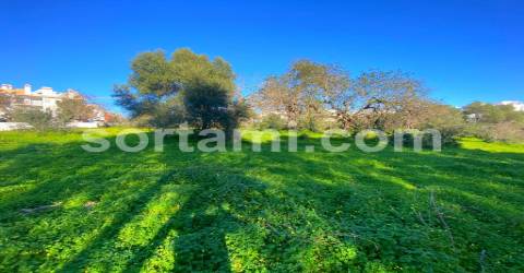Terreno Rústico  Venda em Almancil,Loulé