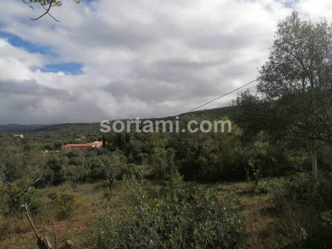 Terreno Rústico  Venda em Loulé (São Clemente),Loulé