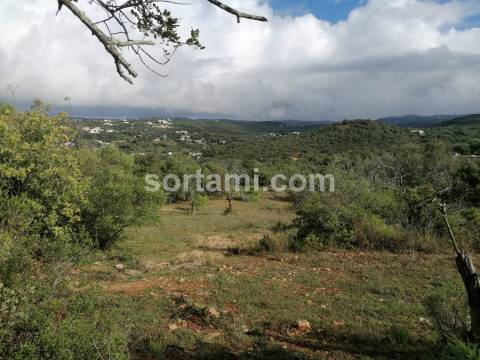 Terreno Rústico  Venda em Loulé (São Clemente),Loulé