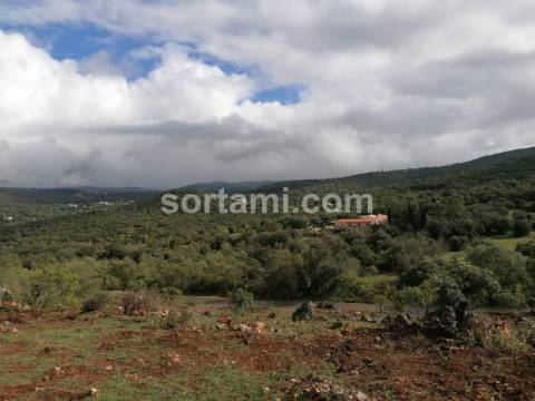 Terreno Rústico  Venda em Loulé (São Clemente),Loulé
