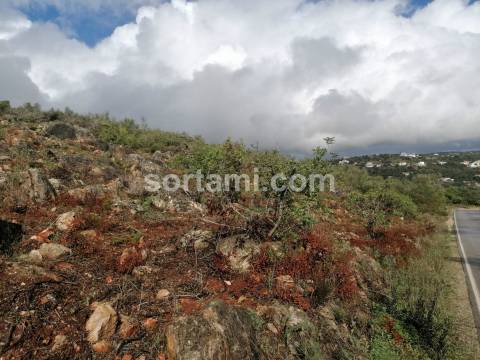 Terreno Rústico  Venda em Loulé (São Clemente),Loulé