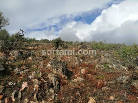 Terreno Rústico  Venda em Loulé (São Clemente),Loulé