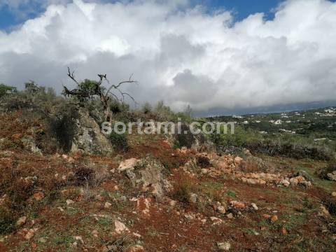 Terreno Rústico  Venda em Loulé (São Clemente),Loulé