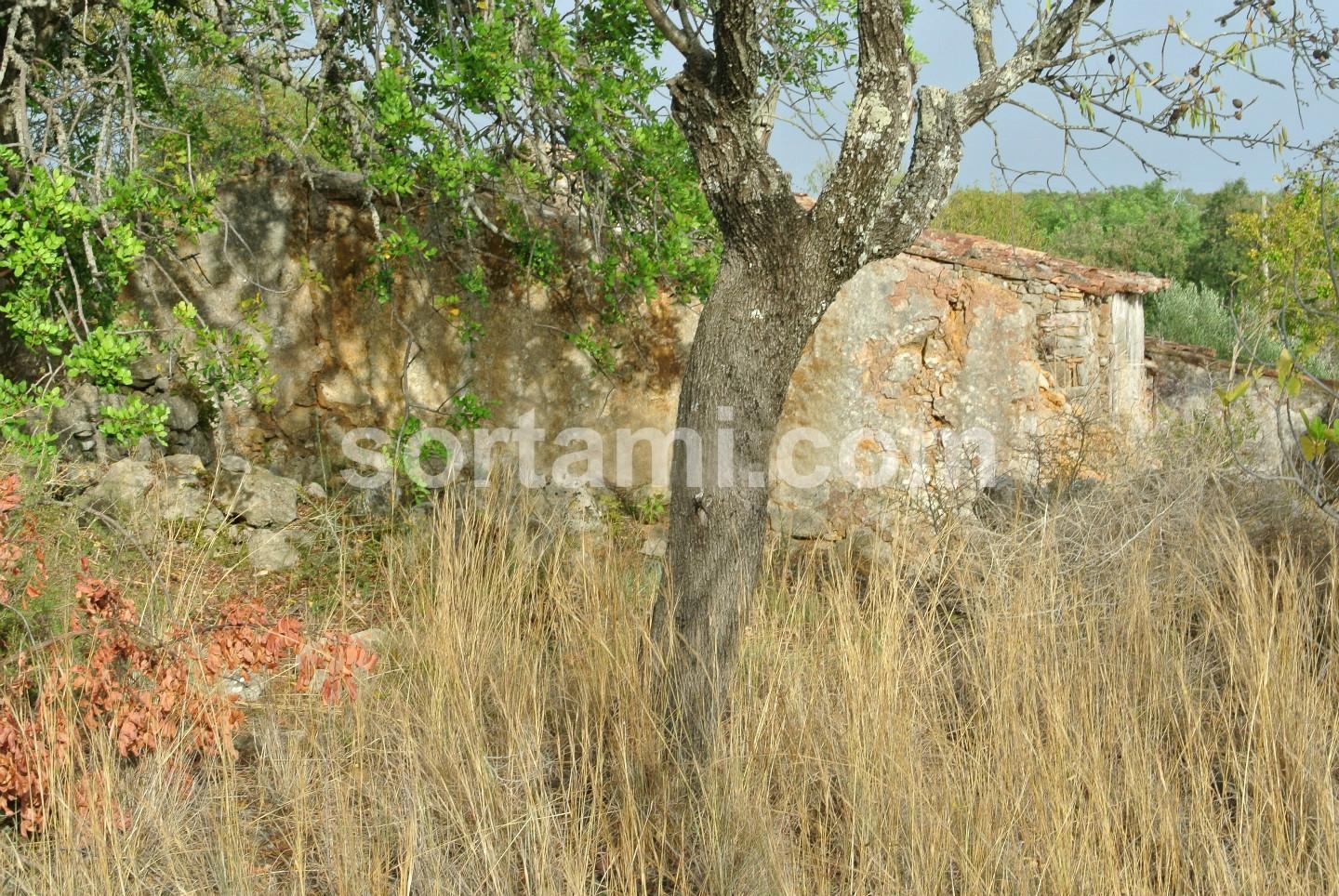 Terreno Para Construção  Venda em São Brás de Alportel,São Brás de Alportel