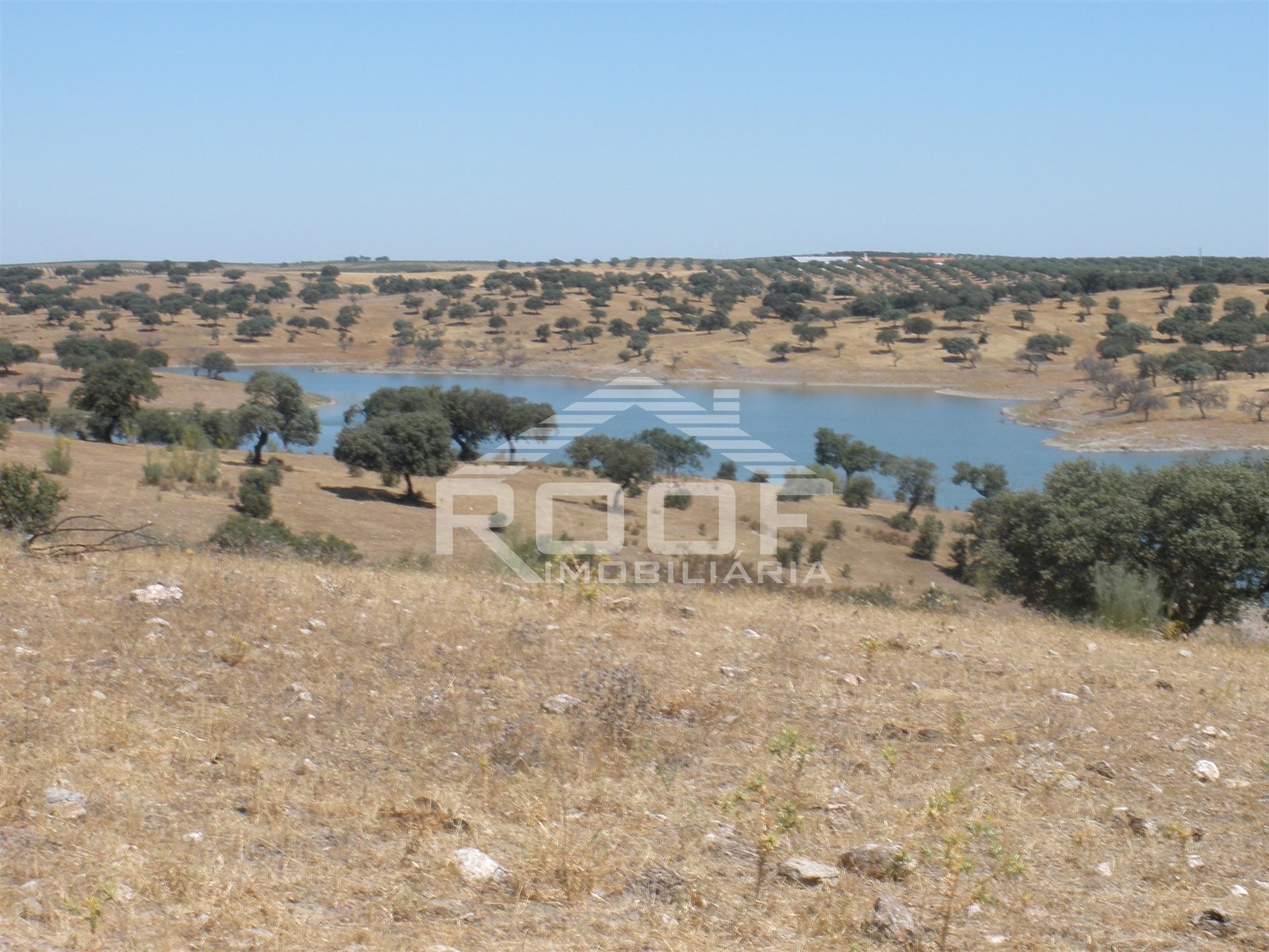 Quinta  Venda em Póvoa de São Miguel,Moura