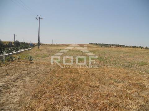 Terreno  Venda em Granja,Mourão