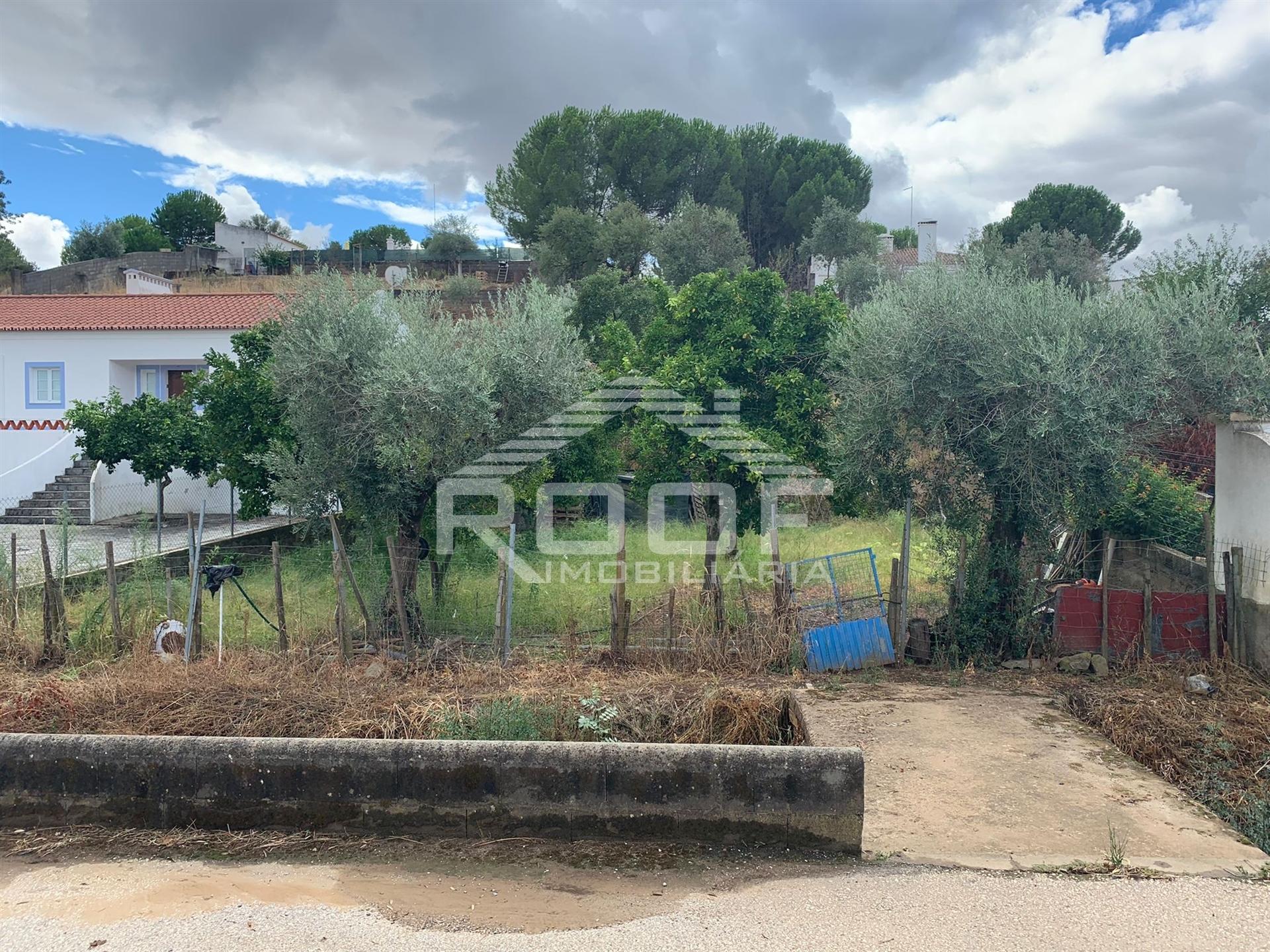 Terreno Para Construção  Venda em Redondo,Redondo