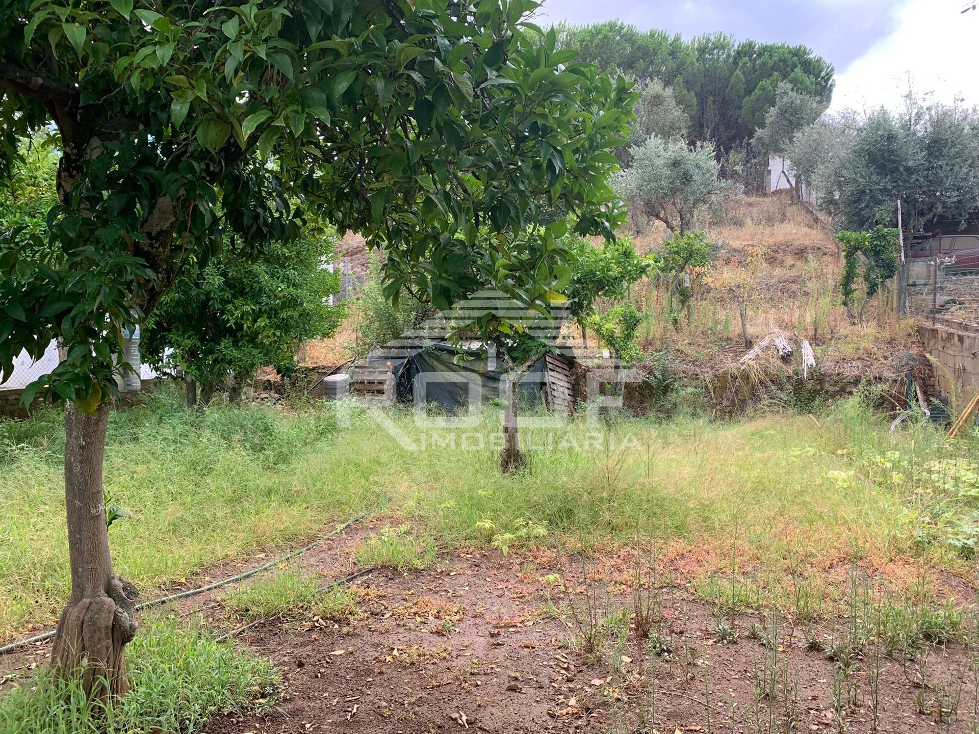 Terreno Para Construção  Venda em Redondo,Redondo