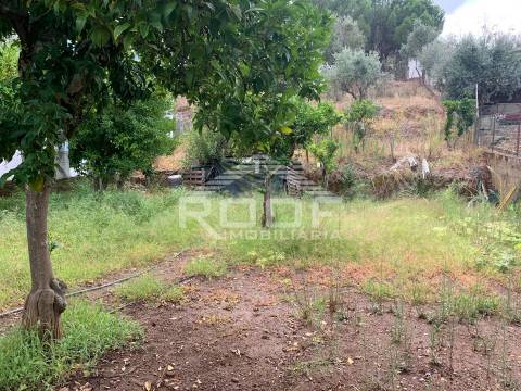 Terreno Para Construção  Venda em Redondo,Redondo