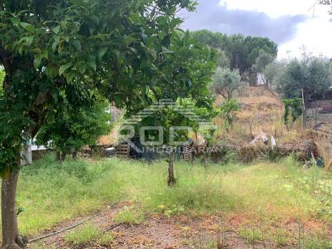 Terreno Para Construção  Venda em Redondo,Redondo