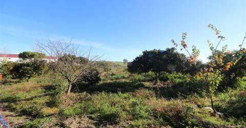 Armazém  Venda em São Bartolomeu do Outeiro e Oriola,Portel
