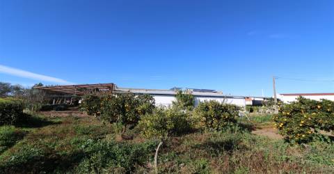 Armazém  Venda em São Bartolomeu do Outeiro e Oriola,Portel